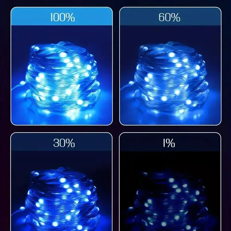 Smart RGB-IC Fairy Light™