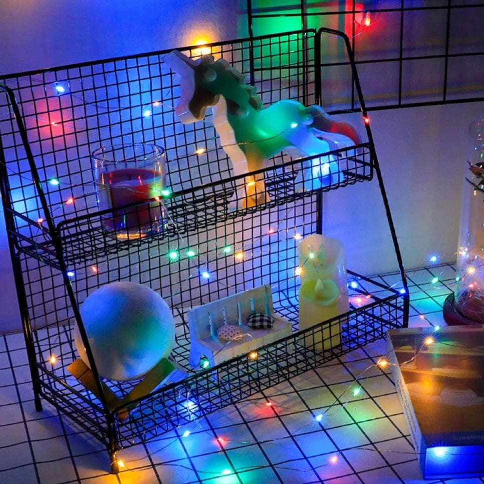 Fairy Lights String Button Battery Light™