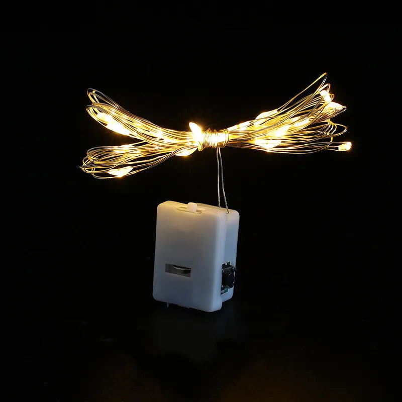 Fairy Lights String Button Battery Light™