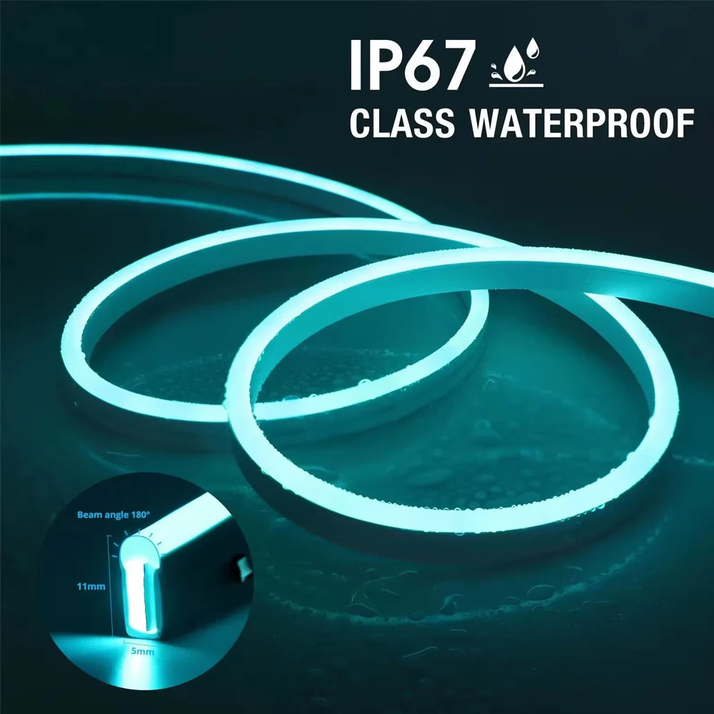 Wiscolor Tuya Wifi Plug RGBIC LED™